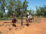 Ausritt im Outback