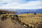 Blick zurück zum Winaymarka-See, rechts verlaäuft die Grenze zu Peru