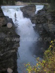 Athabasca Falls: Die zerstörerischen und gestalterischen Kräfte des Athabasca River haben einen engen Canyon geformt.