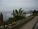 Typisch für die Región de Valparaíso: Palmen und kleine Blumenbeete