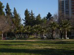Weitere Impressionen von grünen Oasen: Parkanlagen im Stadtviertel Providencia