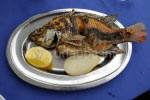 Petrusfisch aus dem See Genezareth