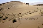 Dünenwandern in der Namibwüste