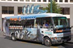 Vom Cathedral Square fährt ein auffälliger Shuttle-Bus zum internationalen Antarctic Center.