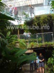 Der Discovery World Tropical Forest, ein großartiges Tropenhaus auf drei Ebenen
