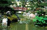 Eine japanische Brücke im Japanischen Garten
