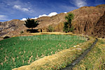 Ein Bewässerungskanal erlaubt die Bestellung von Ackerland in dieser kargen Gegend