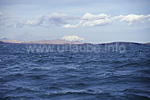 Der durch starken Wind aufgebrauste Titicacasee mit dem Illimani im Hintergrund