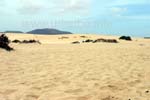 Blick auf die Sanddünen von Corralejo vom Strand aus