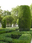 Erinnern an die Gärten Sabatini: Die zurechtgestutzten Pflanzen 