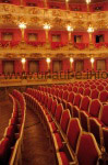 Das Cuvilliés-Theater in der Residenz
