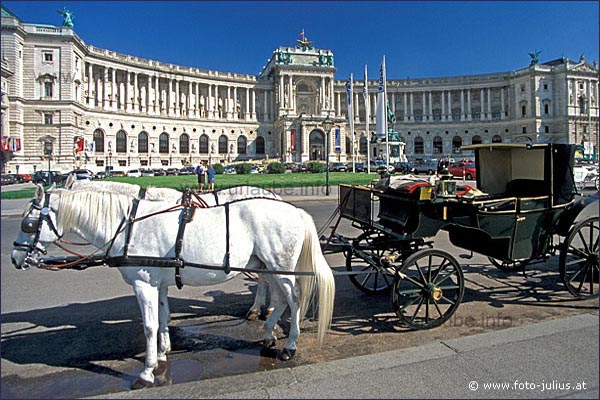 Der Fiaker ist eine der romantischsten Arten, Wien zu erkunden - aber im Vergleich zu anderen Verkehrsmitteln auch die teuerste.
